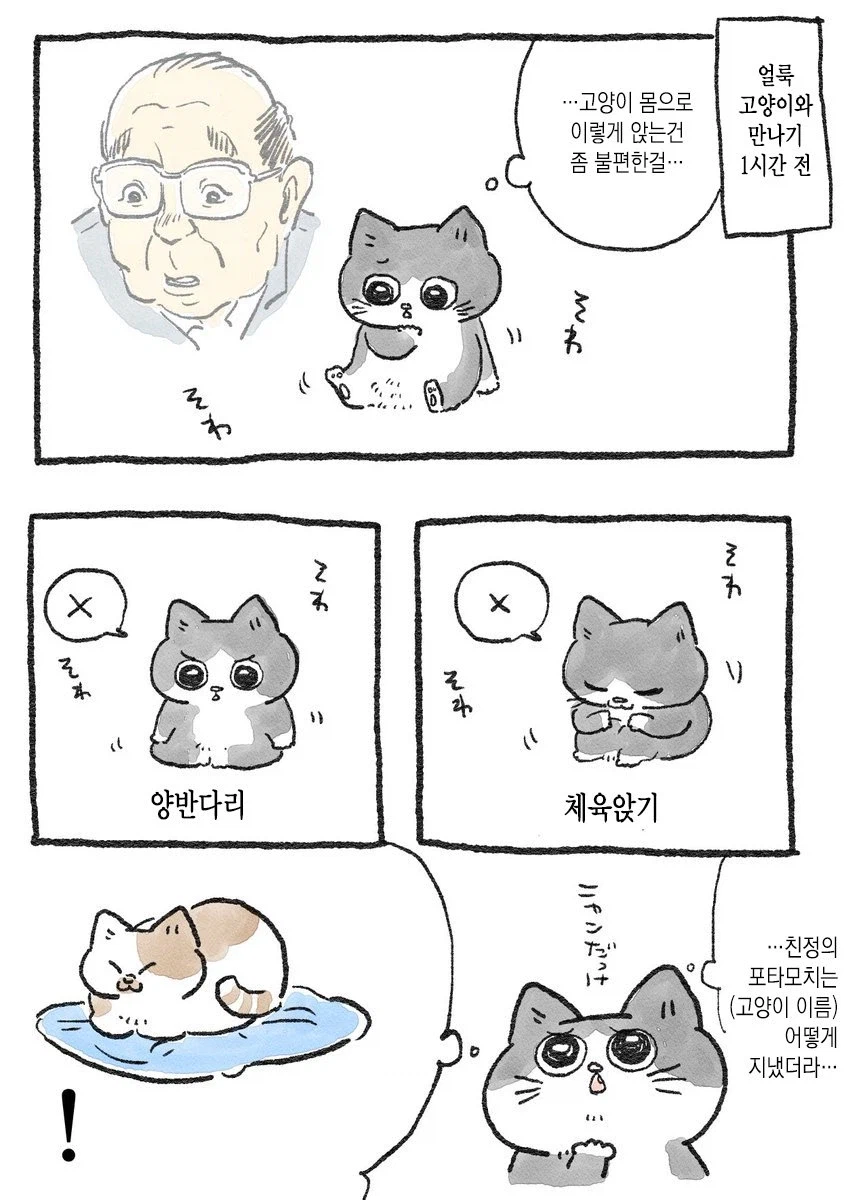 스압)아저씨가 고양이가 되는 만화_9.webp