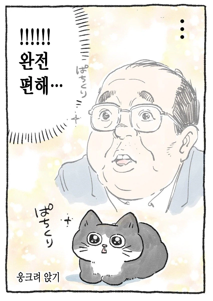 스압)아저씨가 고양이가 되는 만화_10.webp