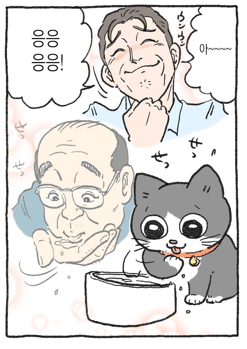 스압)아저씨가 고양이가 되는 만화_28.webp