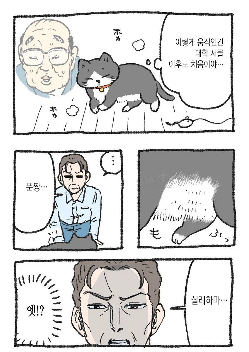 스압)아저씨가 고양이가 되는 만화_31.webp