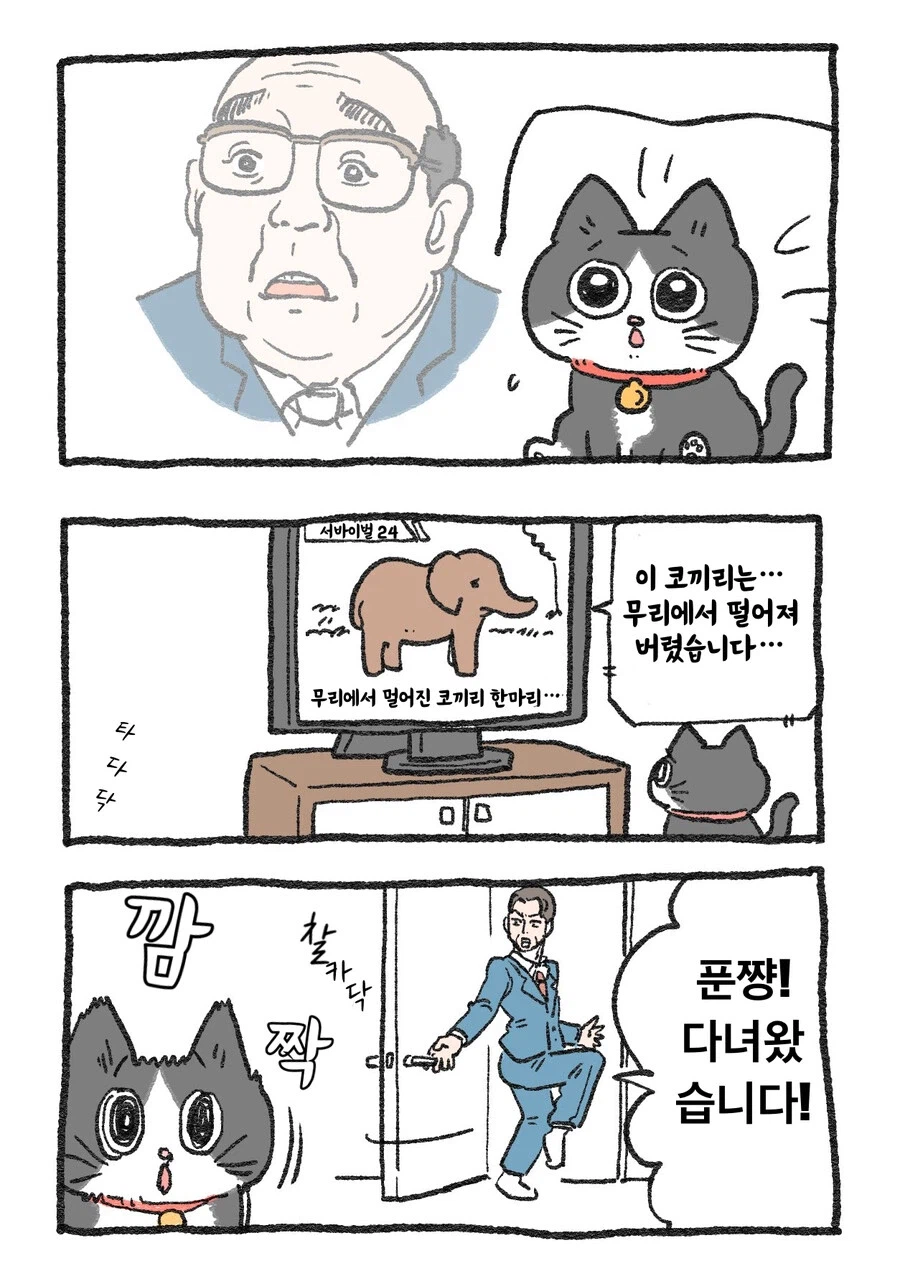 스압)아저씨가 고양이가 되는 만화_40.webp
