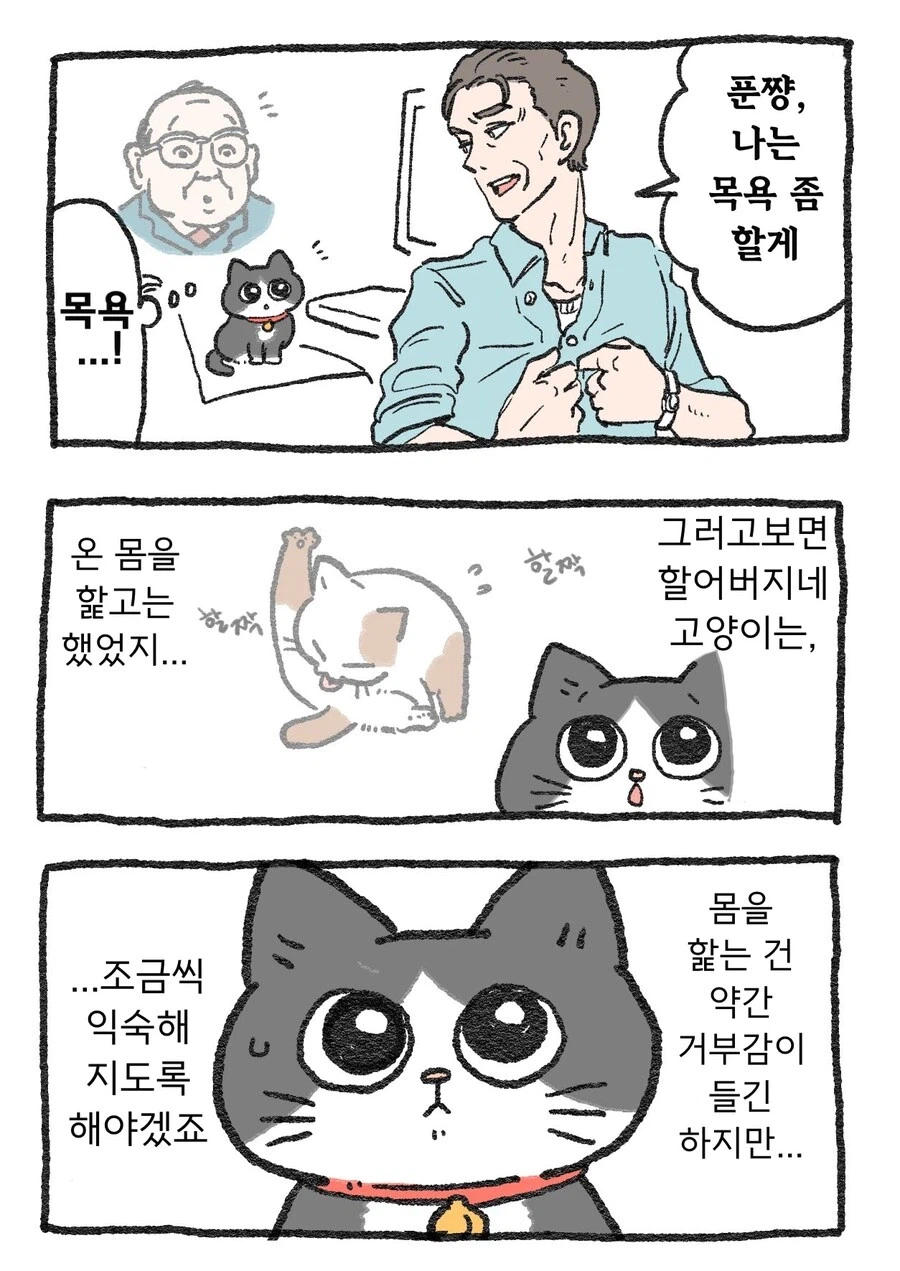 스압)아저씨가 고양이가 되는 만화_46.webp