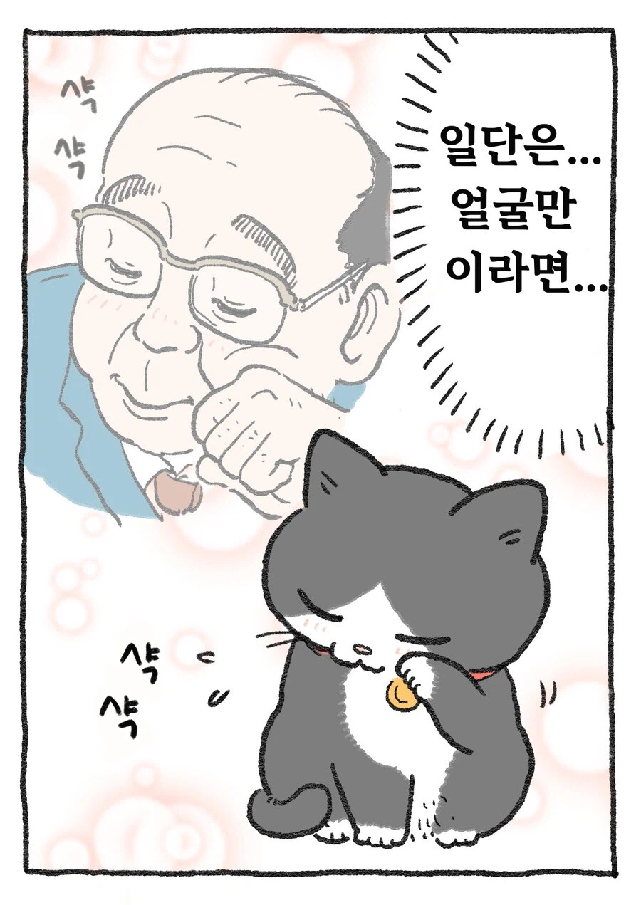 스압)아저씨가 고양이가 되는 만화_47.webp
