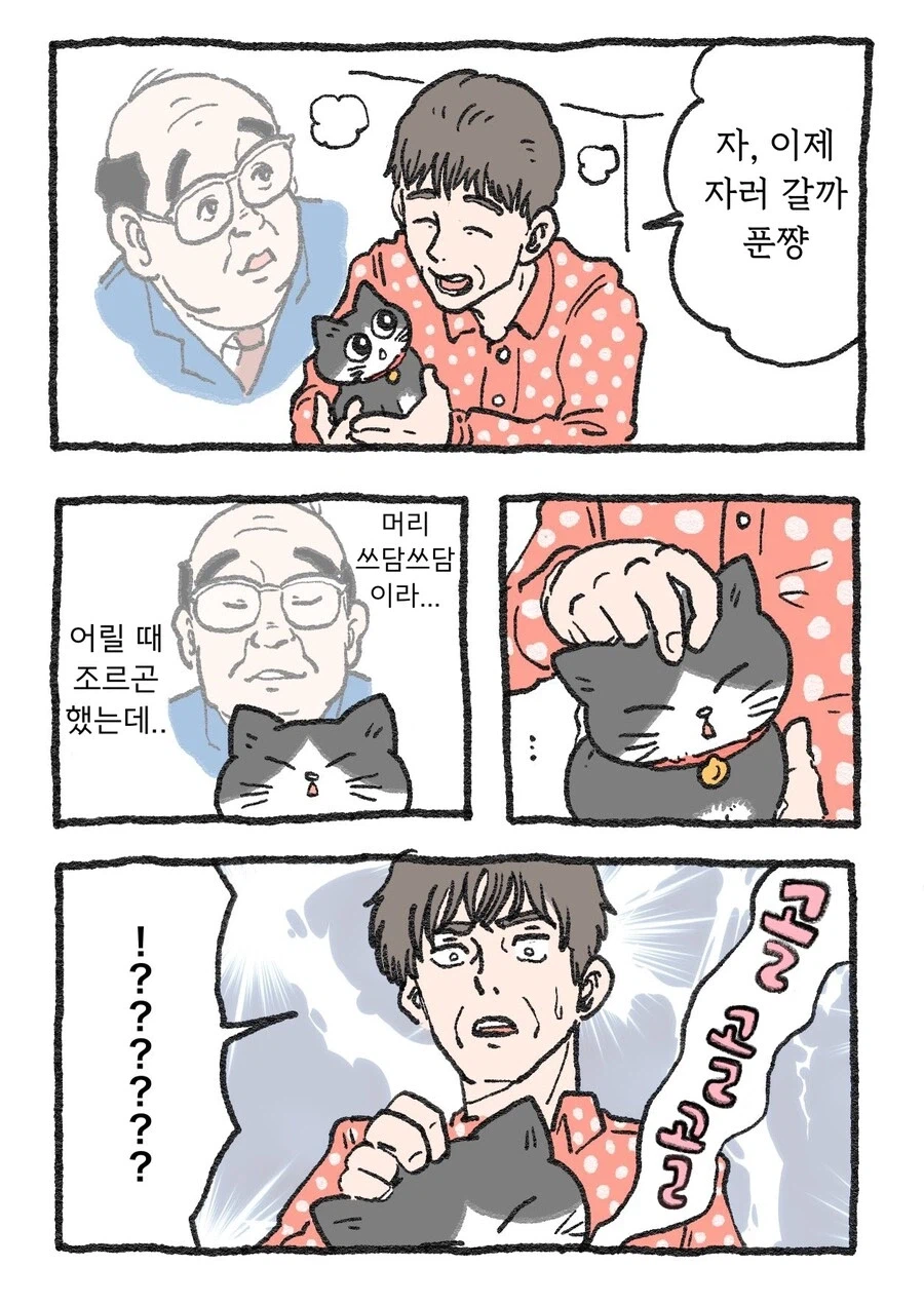 스압)아저씨가 고양이가 되는 만화_50.webp