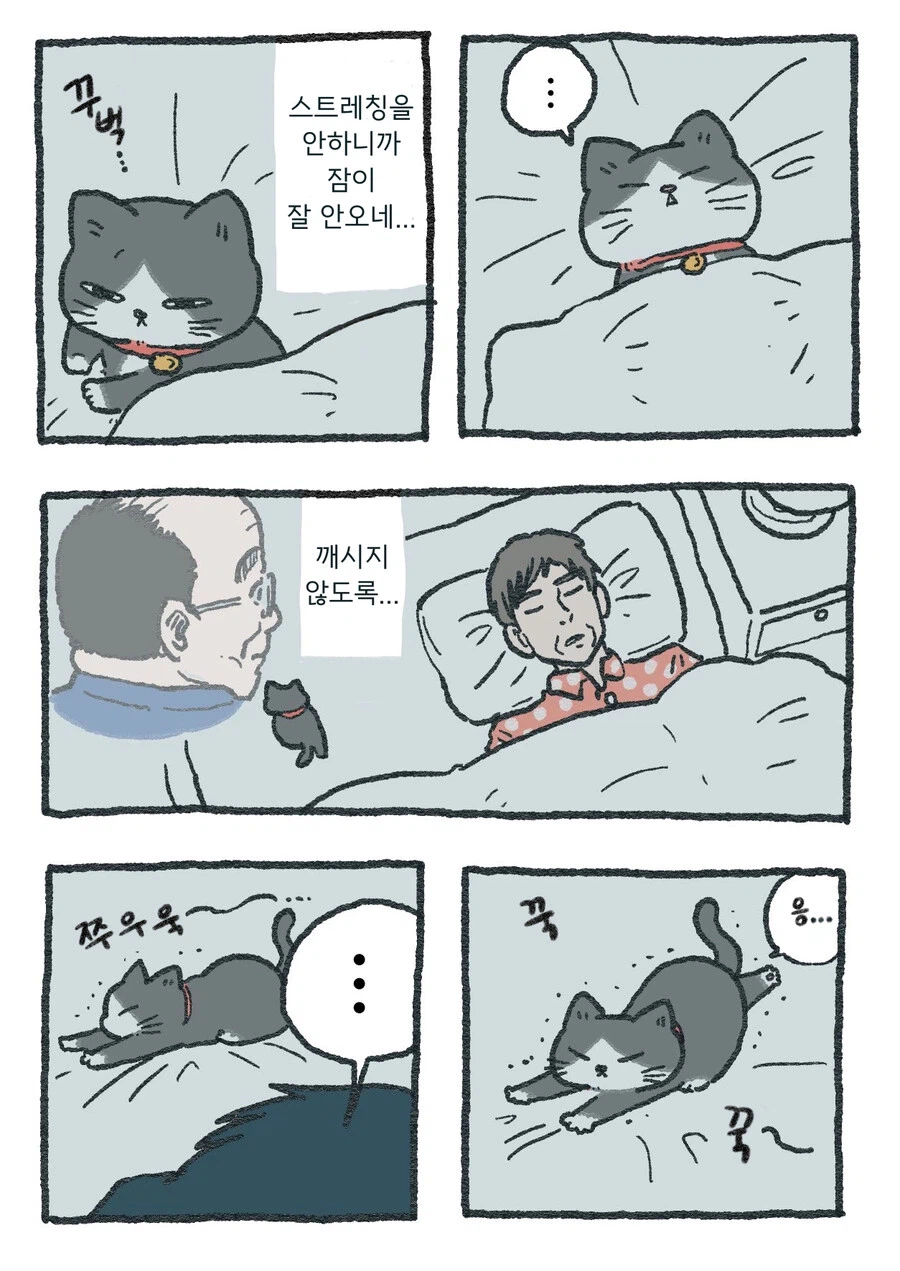 스압)아저씨가 고양이가 되는 만화_52.webp