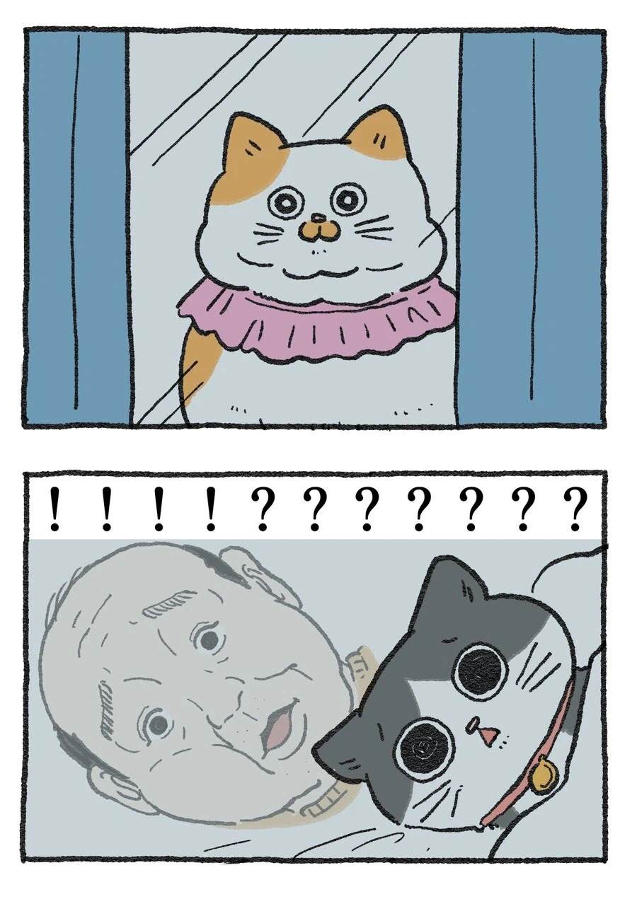 스압)아저씨가 고양이가 되는 만화_55.webp