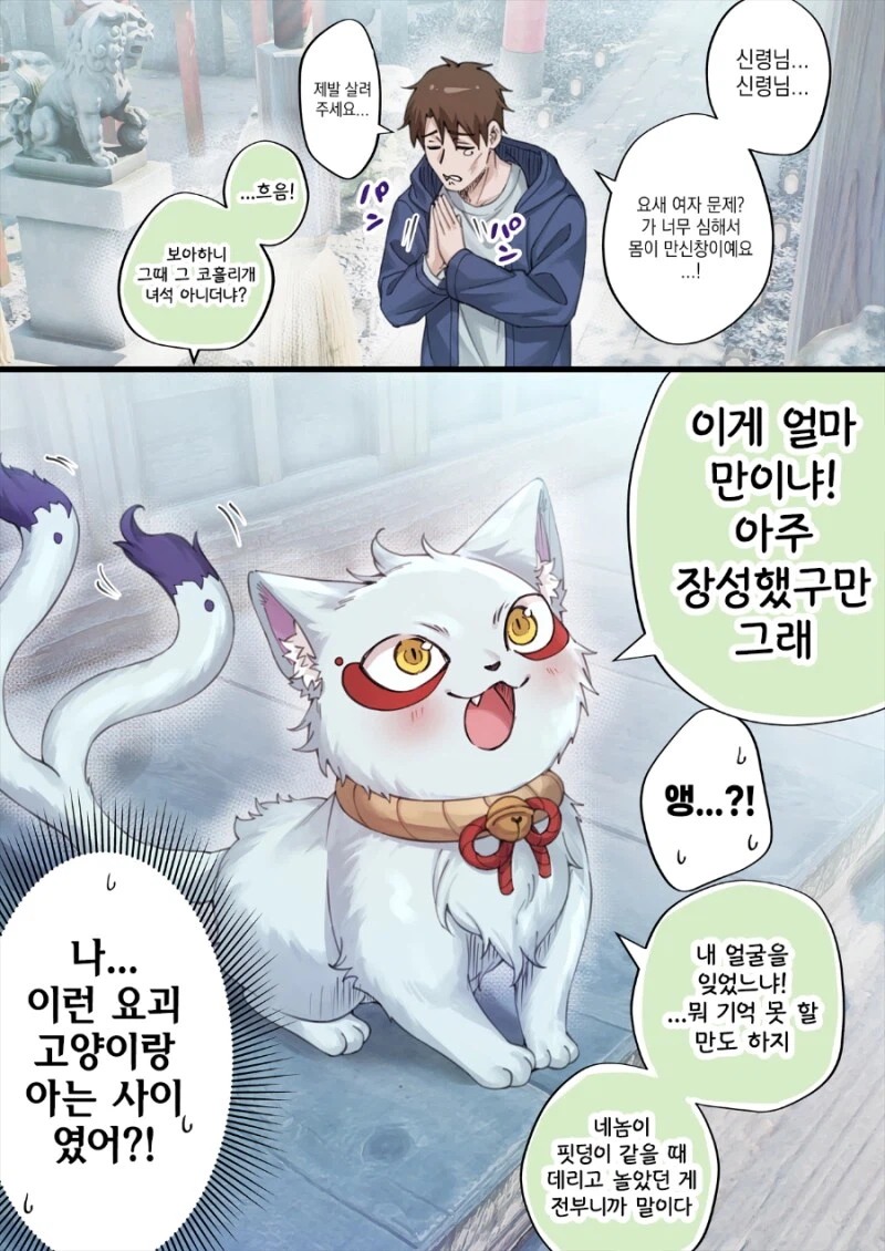 고양이 신령님에게 간택 받은.manwha_1.webp