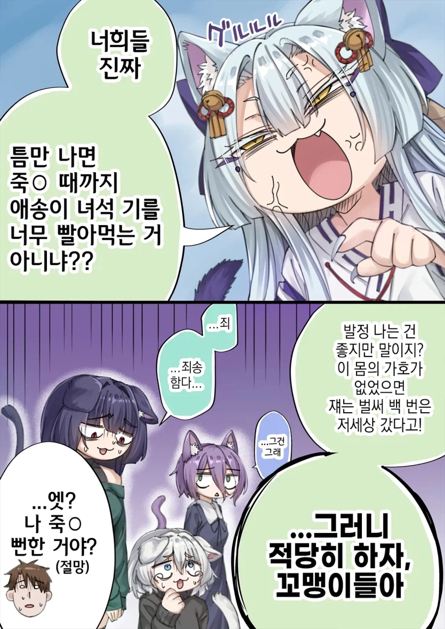 고양이 신령님에게 간택 받은.manwha_10.webp