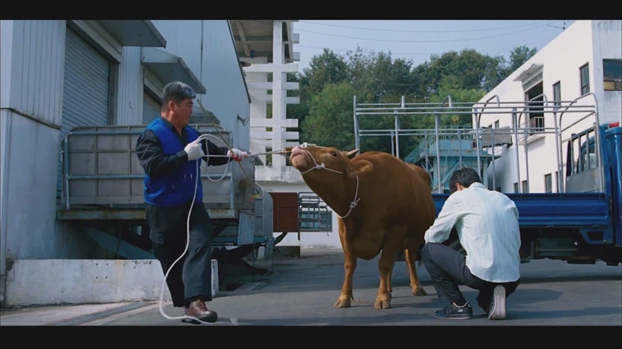 영화 식객에서 가장 슬픈장면_5.webp