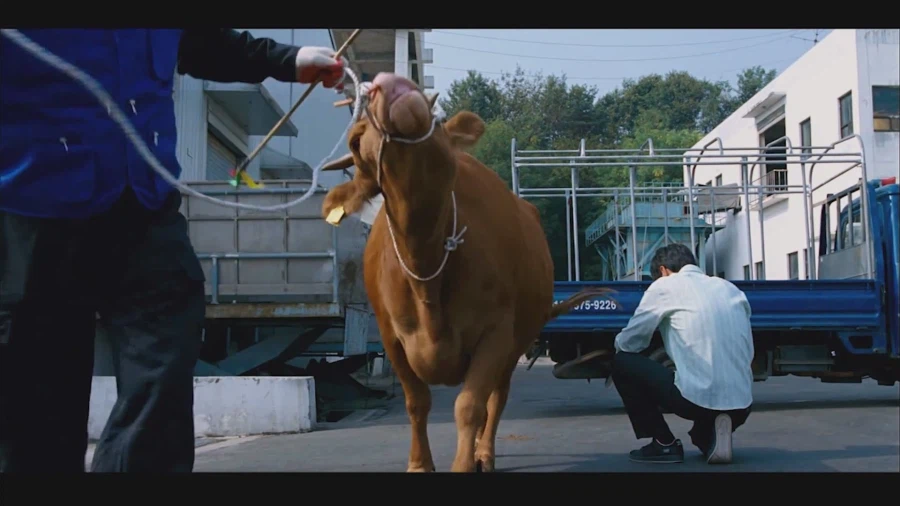 영화 식객에서 가장 슬픈장면_6.webp