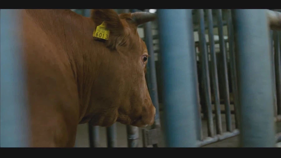 영화 식객에서 가장 슬픈장면_11.webp