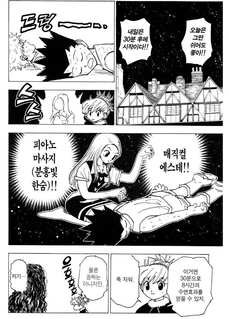 헌터x헌터)설명자의 모순_2.webp