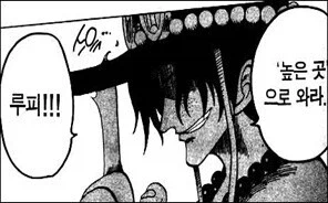 원피스) 높은곳으로 와라, 루피_1.webp