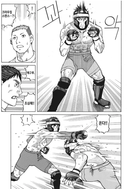 아마추어 종합 격투기 만화_1.webp