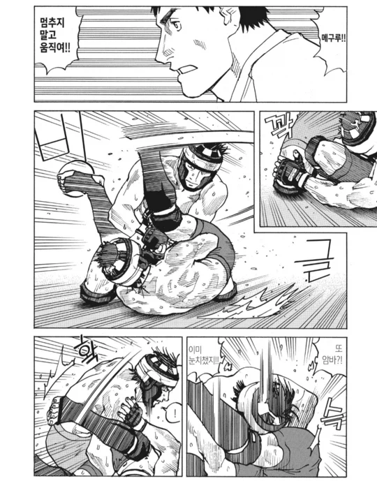 아마추어 종합 격투기 만화_4.webp