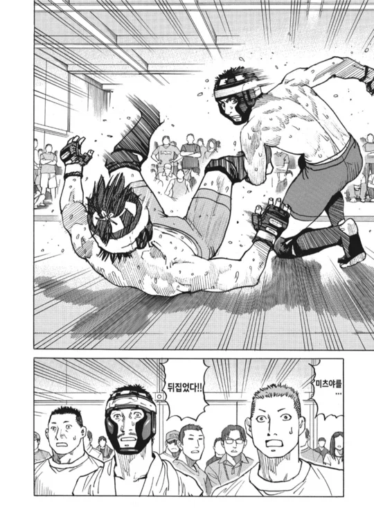 아마추어 종합 격투기 만화_8.webp