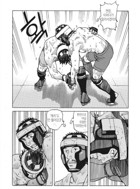 아마추어 종합 격투기 만화_14.webp