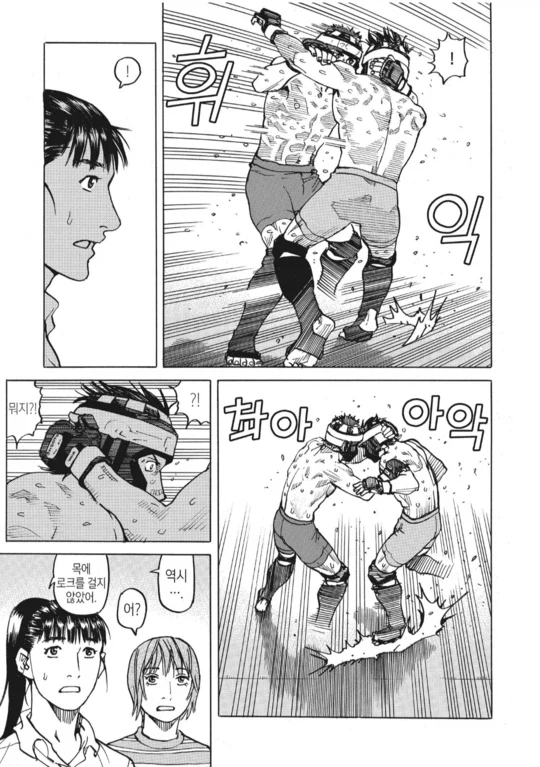 아마추어 종합 격투기 만화_19.webp