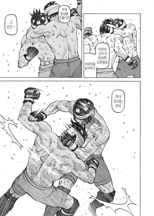 아마추어 종합 격투기 만화_23.webp