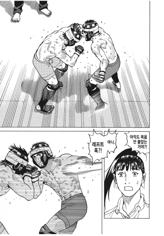 아마추어 종합 격투기 만화_25.webp