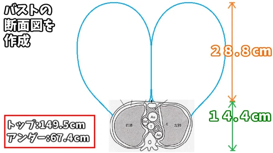 Fate) 고증오류였던 코믹스 패션립 가슴 크기_3.webp