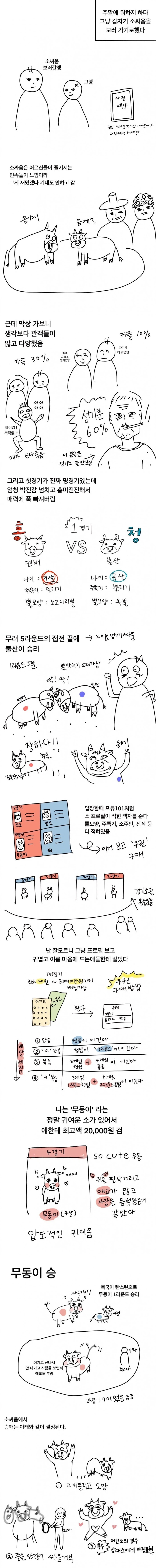 청도 소싸움 보러 간 후기 만화.jpg_1.webp