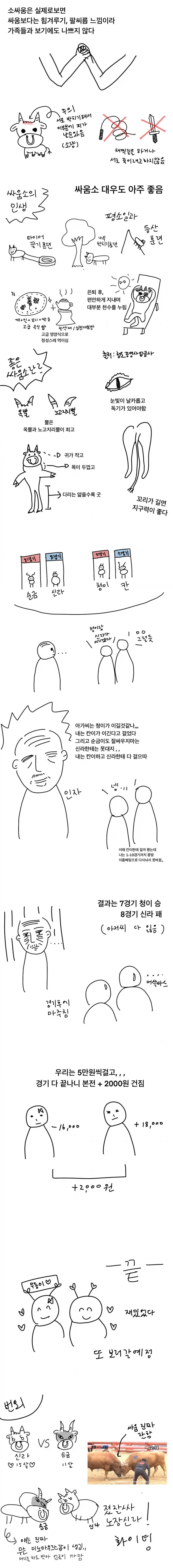 청도 소싸움 보러 간 후기 만화.jpg_2.webp