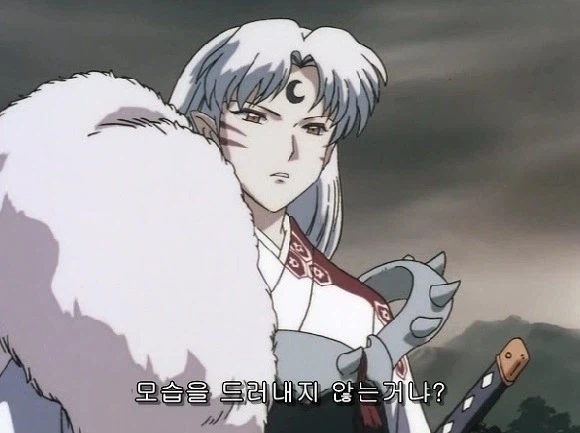 이누야샤) 애초에 이건 셋쇼마루 커버쳐주는 것도 아님_3.webp