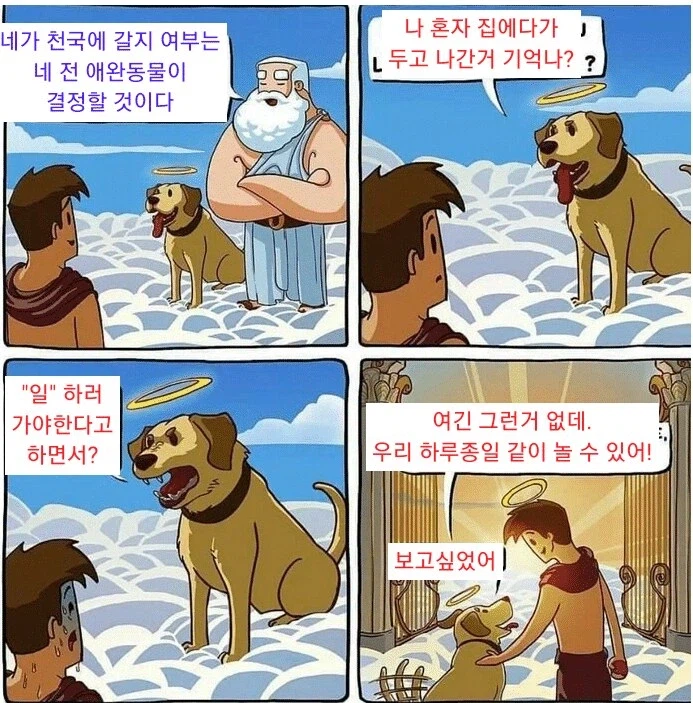 네가 천국에 갈지 안갈지는 네 반려견이 결정할것이다_1.webp