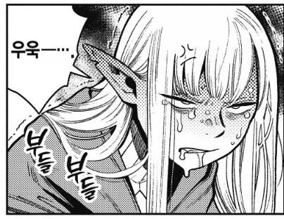 던전밥) 비중 ㅈ도없는데 인기 은근 많은 엘프_2.webp