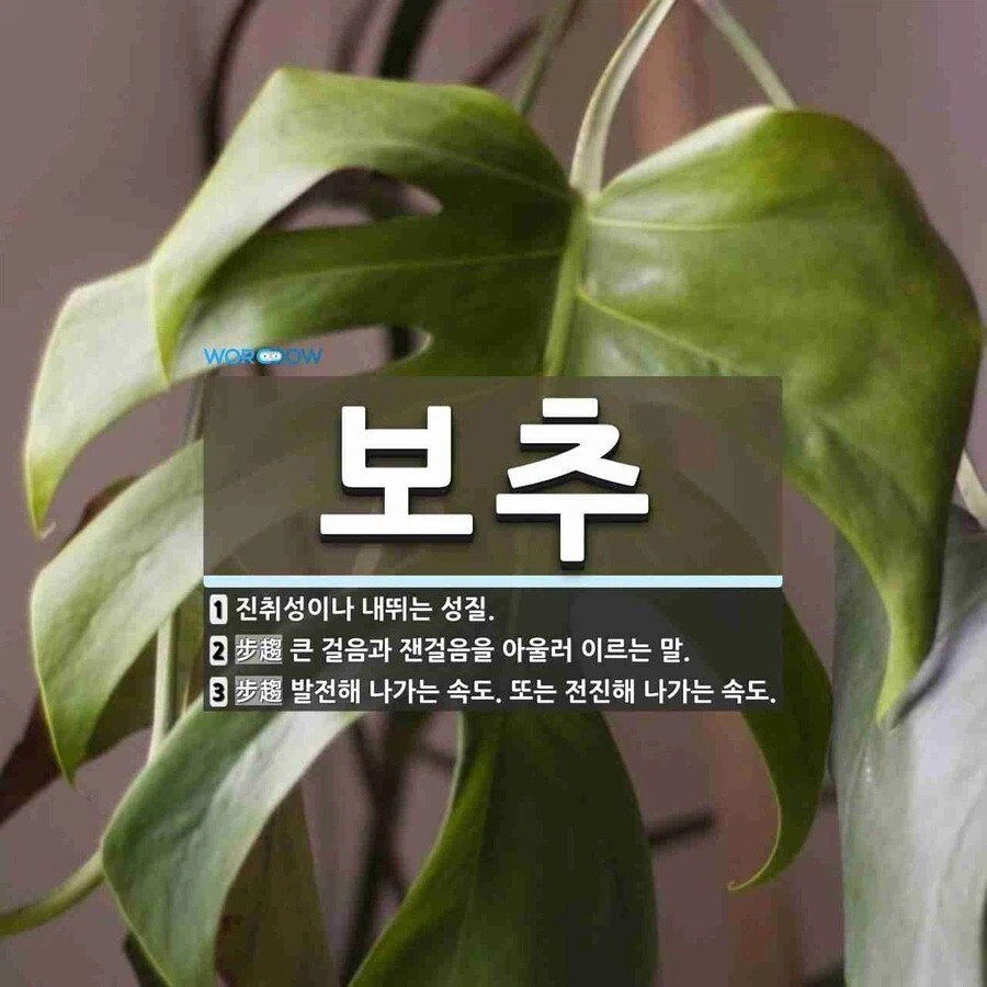 보추란 무엇잉가_2.webp