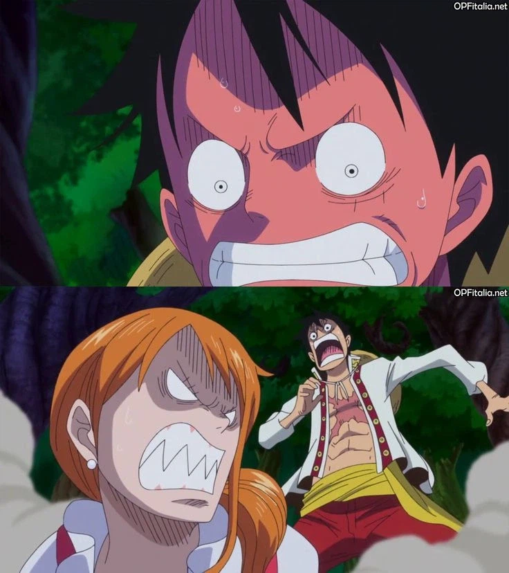 원피스) 루피가 나미한테 어떤 존재인지 완벽하게 요약하기_3.webp