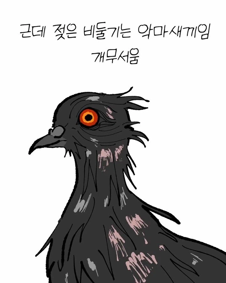 비둘기가 귀여운 만화_11.webp