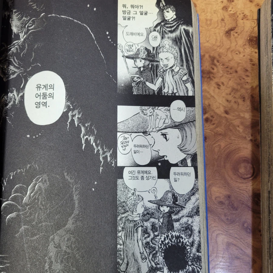 베르세르크]만화 정주행하다보면 괜히 빵터지는 페이지들..._2.webp