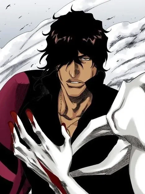 블리치)음해 없는 사실들_2.webp