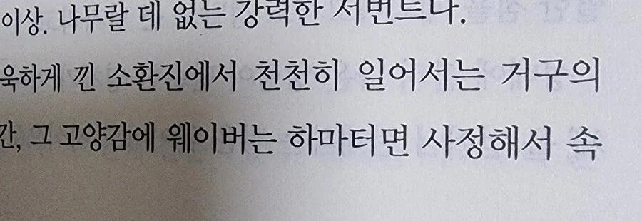 페이트) 웨이버에 대한 순수 팩트_1.webp