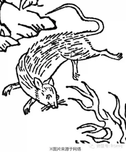 이누아샤) 실제로 존재하는 이누아샤의 유물_2.webp