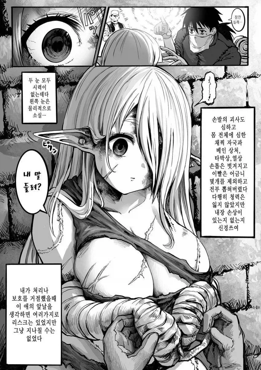 너덜너덜한 엘프와 약장수.....manwha_4.webp