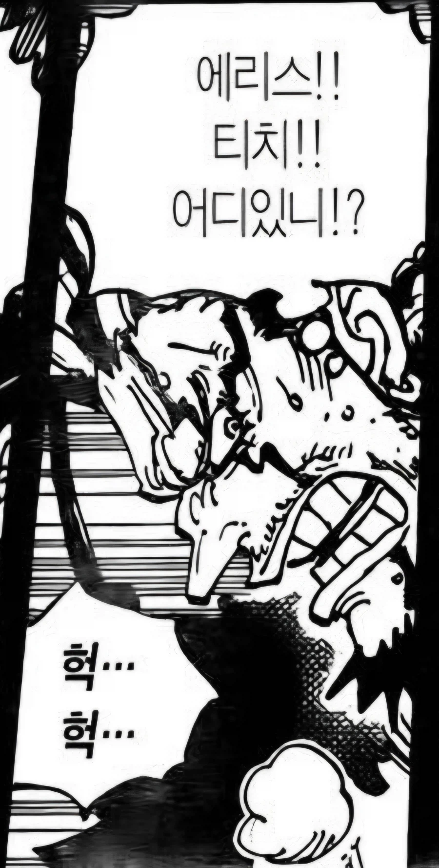 원피스) 다시보면 외모랑 날조때문에 엄청나게 억까였던 음모론_2.webp