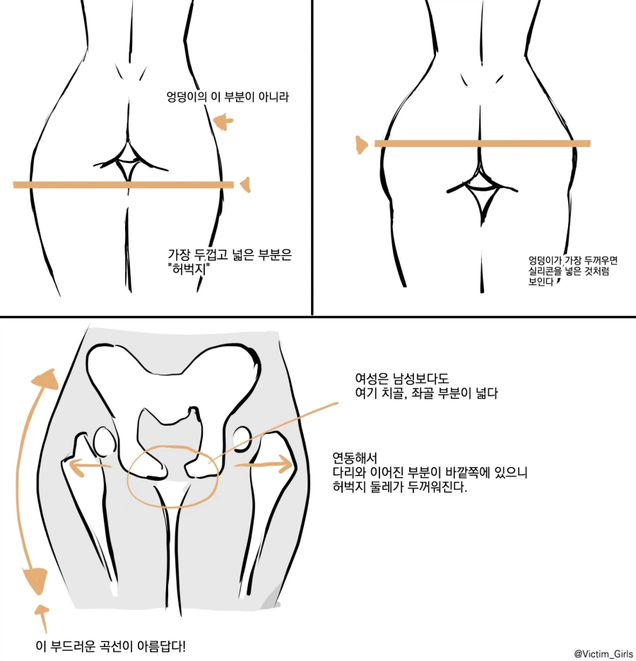 의외로 엉덩이보다 중요한거_1.webp
