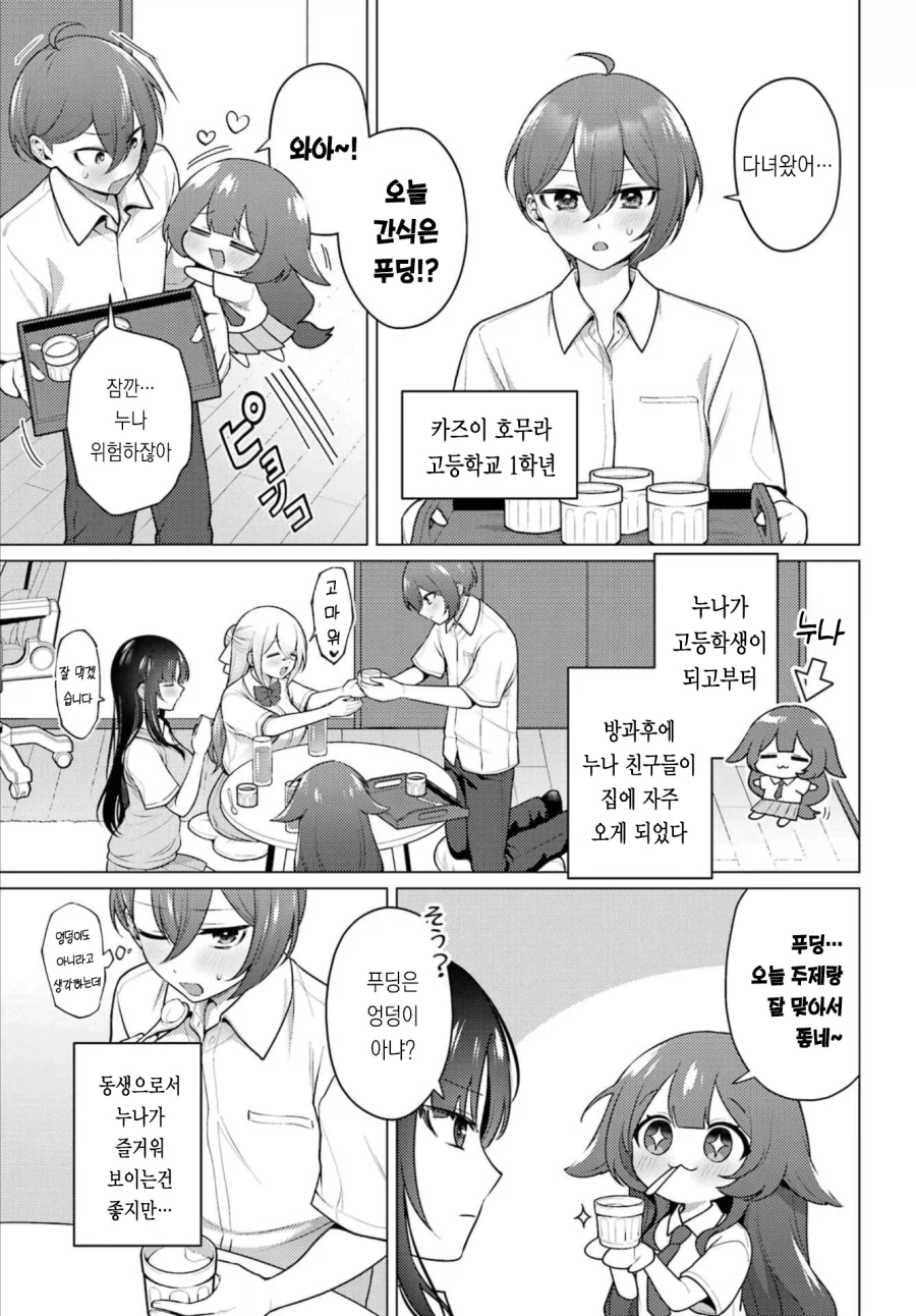 누나들이랑 완벽한 가슴 형태에 대해 논하는 만화_5.webp