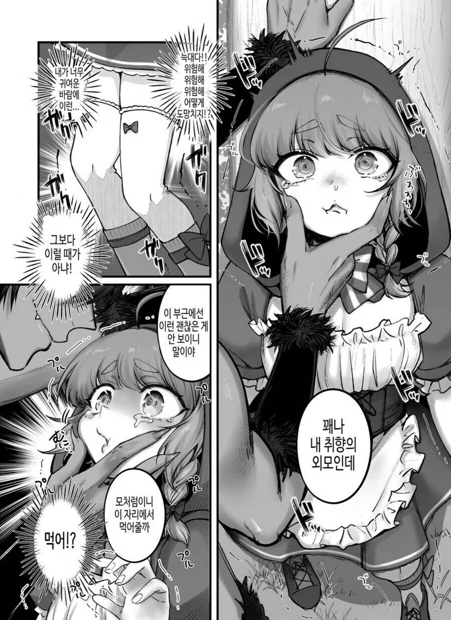 빨간망토가 숲속에서 늑대한테 잡아먹히능 망가_4.webp