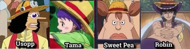원피스) 루피 밀짚모자를 써본 캐릭터들_1.webp