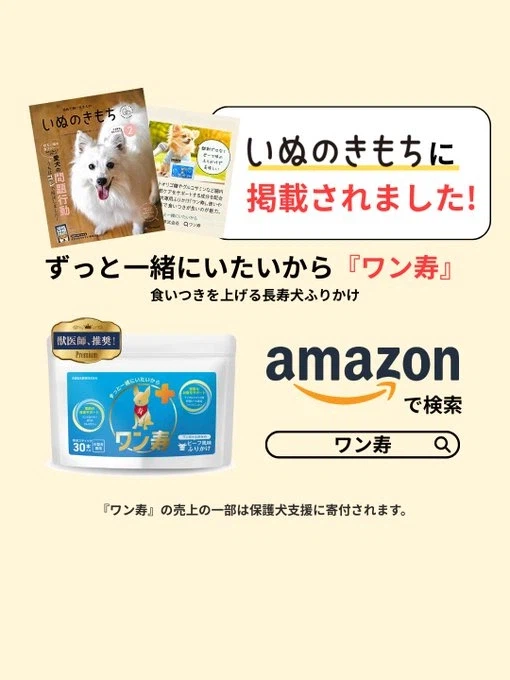 유기견 보호소 강아지의 최후.manhwa_9.webp