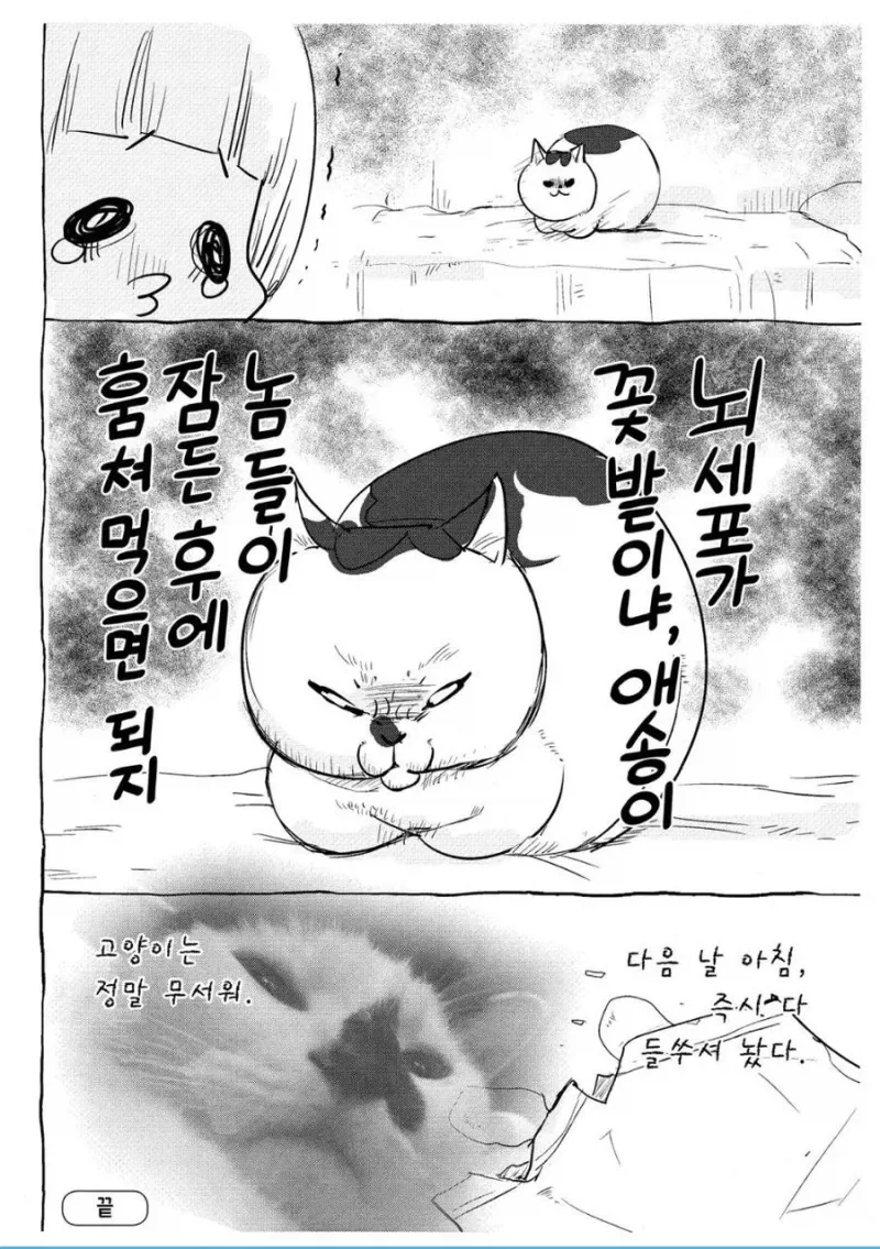 강아지가 사람 먹는거에 집착하는 이유_2.webp