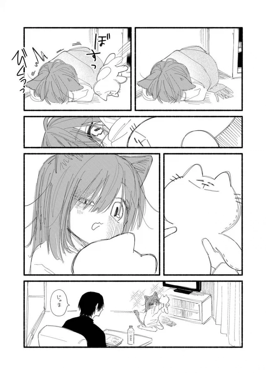 고양이 주운 만화.jpg_3.webp