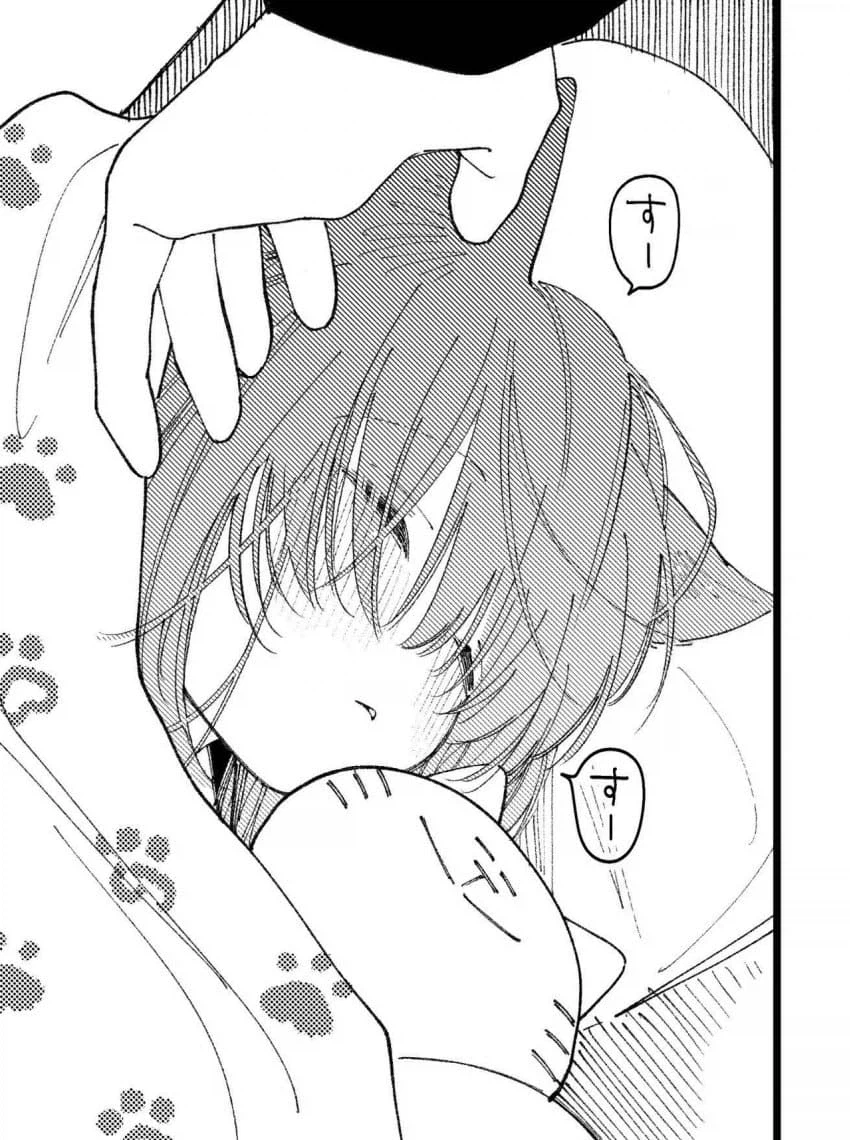 고양이 주운 만화.jpg_4.webp