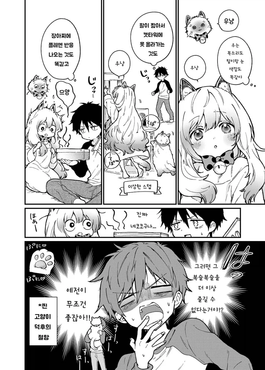 반려묘가 진화하는 만화_8.webp