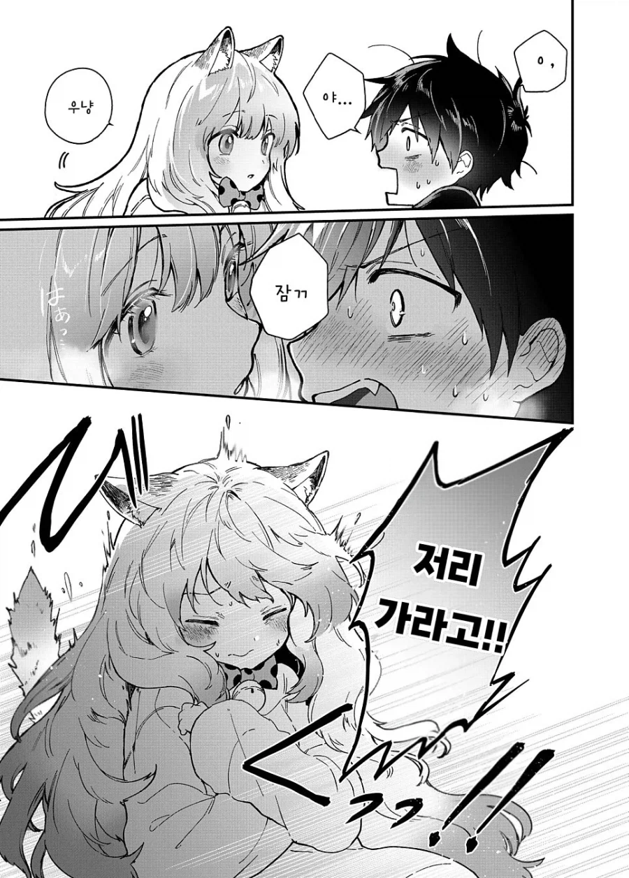 반려묘가 진화하는 만화_11.webp