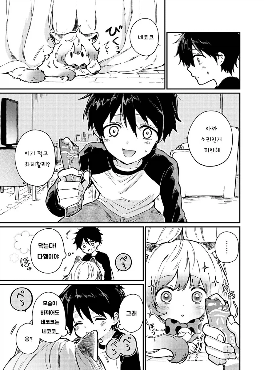 반려묘가 진화하는 만화_13.webp